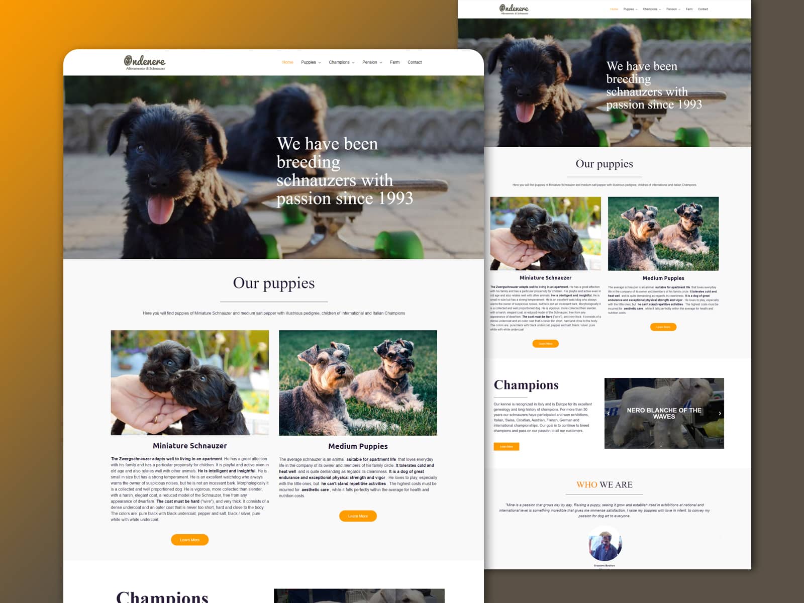 Onde Nere Pet Training Website Design